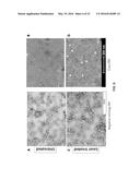 PHOTOACTIVATABLE LIPID-BASED NANOPARTICLES AS VEHICLES FOR DUAL AGENT     DELIVERY diagram and image