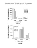 PHOTOACTIVATABLE LIPID-BASED NANOPARTICLES AS VEHICLES FOR DUAL AGENT     DELIVERY diagram and image