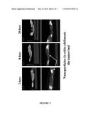 COMPOSITIONS AND METHODS FOR USE IN ONCOLOGY diagram and image