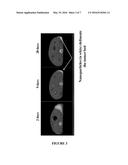 COMPOSITIONS AND METHODS FOR USE IN ONCOLOGY diagram and image