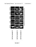 COMPOSITIONS AND METHODS FOR USE IN ONCOLOGY diagram and image