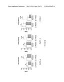 BIOCERAMIC COMPOSITIONS AND BIOMODULATORY USES THEREOF diagram and image