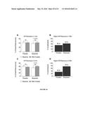 BIOCERAMIC COMPOSITIONS AND BIOMODULATORY USES THEREOF diagram and image