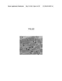 DEVICE FOR ISOLATING PERIPHERY CIRCULATING TUMOR CELLS OR RARE CELLS, AND     METHOD OF ISOLATING PERIPHERY CIRCULATING TUMOR CELLS OR RARE CELLS diagram and image