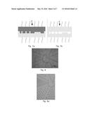 A Microfluidic Device with Pillars diagram and image