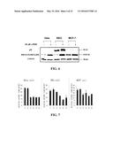 COMPOSITIONS AND METHODS FOR GLUCOSE TRANSPORT INHIBITION diagram and image