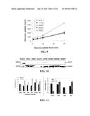 COMPOSITIONS AND METHODS FOR GLUCOSE TRANSPORT INHIBITION diagram and image