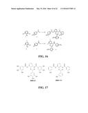 COMPOSITIONS AND METHODS FOR GLUCOSE TRANSPORT INHIBITION diagram and image