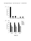 COMPOSITIONS AND METHODS FOR GLUCOSE TRANSPORT INHIBITION diagram and image