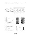 COMPOSITIONS AND METHODS FOR GLUCOSE TRANSPORT INHIBITION diagram and image