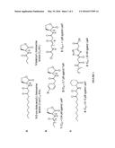 2-METHYLTHIOPYRROLIDINES AND THEIR USE FOR MODULATING BACTERIAL QUORUM     SENSING diagram and image