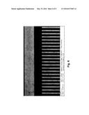 SELECTIVE PLACEMENT OF CARBON NANOTUBES VIA COULOMBIC ATTRACTION OF     OPPOSITELY CHARGED CARBON NANOTUBES AND SELF-ASSEMBLED MONOLAYERS diagram and image