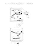 SELECTIVE PLACEMENT OF CARBON NANOTUBES VIA COULOMBIC ATTRACTION OF     OPPOSITELY CHARGED CARBON NANOTUBES AND SELF-ASSEMBLED MONOLAYERS diagram and image