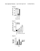 INDUCTION OF GATA2 BY HDAC1 AND HDAC2 INHIBITORS diagram and image