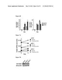 INDUCTION OF GATA2 BY HDAC1 AND HDAC2 INHIBITORS diagram and image