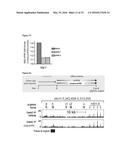 INDUCTION OF GATA2 BY HDAC1 AND HDAC2 INHIBITORS diagram and image