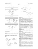 TRIAZOLE-ISOXAZOLE COMPOUND AND MEDICAL USE THEREOF diagram and image