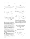 TRIAZOLE-ISOXAZOLE COMPOUND AND MEDICAL USE THEREOF diagram and image