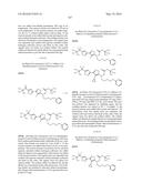 TRIAZOLE-ISOXAZOLE COMPOUND AND MEDICAL USE THEREOF diagram and image