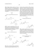 TRIAZOLE-ISOXAZOLE COMPOUND AND MEDICAL USE THEREOF diagram and image