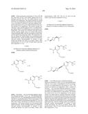 TRIAZOLE-ISOXAZOLE COMPOUND AND MEDICAL USE THEREOF diagram and image