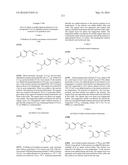 TRIAZOLE-ISOXAZOLE COMPOUND AND MEDICAL USE THEREOF diagram and image