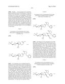 TRIAZOLE-ISOXAZOLE COMPOUND AND MEDICAL USE THEREOF diagram and image