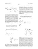 TRIAZOLE-ISOXAZOLE COMPOUND AND MEDICAL USE THEREOF diagram and image