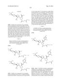 TRIAZOLE-ISOXAZOLE COMPOUND AND MEDICAL USE THEREOF diagram and image