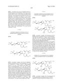 TRIAZOLE-ISOXAZOLE COMPOUND AND MEDICAL USE THEREOF diagram and image