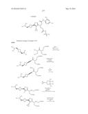 TRIAZOLE-ISOXAZOLE COMPOUND AND MEDICAL USE THEREOF diagram and image