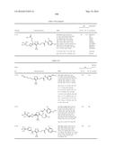 TRIAZOLE-ISOXAZOLE COMPOUND AND MEDICAL USE THEREOF diagram and image