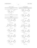 TRIAZOLE-ISOXAZOLE COMPOUND AND MEDICAL USE THEREOF diagram and image