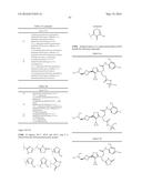 TRIAZOLE-ISOXAZOLE COMPOUND AND MEDICAL USE THEREOF diagram and image