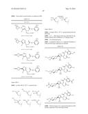 TRIAZOLE-ISOXAZOLE COMPOUND AND MEDICAL USE THEREOF diagram and image