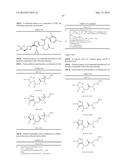 TRIAZOLE-ISOXAZOLE COMPOUND AND MEDICAL USE THEREOF diagram and image