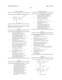 TRIAZOLE-ISOXAZOLE COMPOUND AND MEDICAL USE THEREOF diagram and image