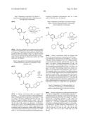 PYRROLO-PYRROLE CARBAMATE AND RELATED ORGANIC COMPOUNDS, PHARMACEUTICAL     COMPOSITIONS, AND MEDICAL USES THEREOF diagram and image