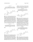 PYRROLO-PYRROLE CARBAMATE AND RELATED ORGANIC COMPOUNDS, PHARMACEUTICAL     COMPOSITIONS, AND MEDICAL USES THEREOF diagram and image