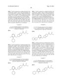 PYRROLO-PYRROLE CARBAMATE AND RELATED ORGANIC COMPOUNDS, PHARMACEUTICAL     COMPOSITIONS, AND MEDICAL USES THEREOF diagram and image