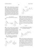 PYRROLO-PYRROLE CARBAMATE AND RELATED ORGANIC COMPOUNDS, PHARMACEUTICAL     COMPOSITIONS, AND MEDICAL USES THEREOF diagram and image