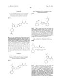 PYRROLO-PYRROLE CARBAMATE AND RELATED ORGANIC COMPOUNDS, PHARMACEUTICAL     COMPOSITIONS, AND MEDICAL USES THEREOF diagram and image