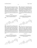 PYRROLO-PYRROLE CARBAMATE AND RELATED ORGANIC COMPOUNDS, PHARMACEUTICAL     COMPOSITIONS, AND MEDICAL USES THEREOF diagram and image