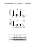 COMPOSITIONS AND METHODS FOR TREATING CANCER diagram and image