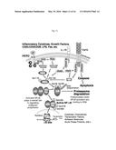 COMPOSITIONS AND METHODS FOR TREATING CANCER diagram and image