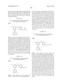 HETEROARYL INHIBITORS OF PDE4 diagram and image