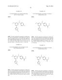 HETEROARYL INHIBITORS OF PDE4 diagram and image