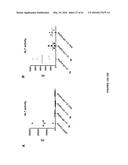 CARBON MONOXIDE RELEASING MOLECULES AND USES THEREOF diagram and image