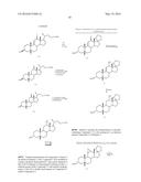 SYNTHETIC BILE ACID COMPOSITIONS AND METHODS diagram and image