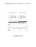 MSP Nanopores and Related Methods diagram and image